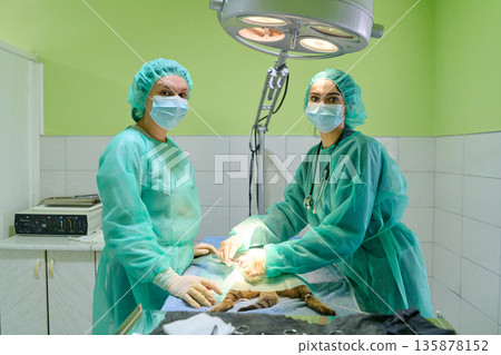 Surgeons In Green Scrubs Performing Surgery In A Bright Operating Room With Overhead Lights Surgeons In Green Scrubs Performing Surgery In A Bright Operating Room With Overhead Lights 135878152