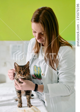 Caring Vet Technician Gently Holds Cat During Checkup in Bright Clinic Caring Vet Technician Gently Holds Cat During Checkup in Bright Clinic 135878196