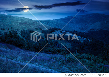 beautiful mountain landscape in summer at night. scenic view of green grassy hills with alpine forest in full moon light. picturesque scene for outdoor tourism under dark sky. mysterious fantasy 135878343