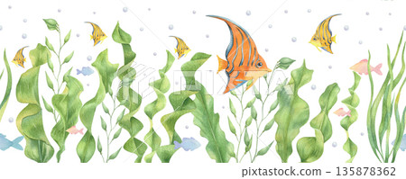 Watercolor seamless border with Angelfish and algae Watercolor seamless border with Angelfish and algae 135878362