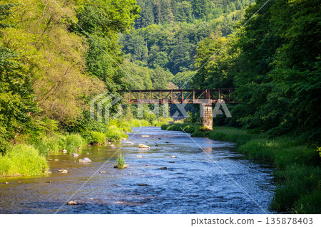 A view of the Jizera River with green trees lining the banks. A metal bridge crosses over the river. Rocks are visible in the water during a bright summer day. 135878403