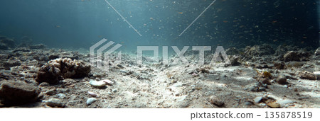 Underwater scene shows a seabed with disturbed sand, broken coral, and scattered shells. A few fish are present in low light, indicating changes in the environment, banner 135878519