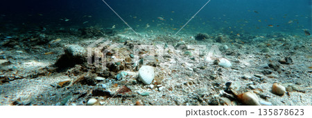 Underwater scene shows a seabed with disturbed sand, broken coral, and scattered shells. A few fish are present in low light, indicating changes in the environment, banner 135878623