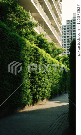 A vibrant green hedge provides a natural barrier for a residential complex in the city, with gentle sunlight filtering through the leaves, creating a peaceful atmosphere 135878627