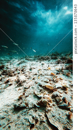 Underwater scene shows a seabed with disturbed sand, broken coral, and scattered shells. A few fish are present in low light, indicating changes in the environment Underwater scene shows a seabed with disturbed sand, broken coral, and scattered shells. A few fish are present in low light, indicating changes in the environment 135878643