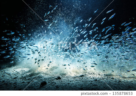 Fish of rare species scatter in response to a mining ROV disturbing the seabed, causing chaos among glowing life forms in the dark ocean depths 135878653