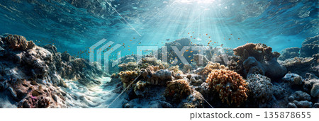 Colorful coral reefs grow on the ocean floor while small fish swim around in clear blue water. Sunlight filters through the surface and illuminates the scene, banner Colorful coral reefs grow on the ocean floor while small fish swim around in clear blue water. Sunlight filters through the surface and illuminates the scene, banner 135878655