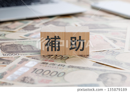 A block with the word "subsidy" written on top of money A block with the word "subsidy" written on top of money 135879189