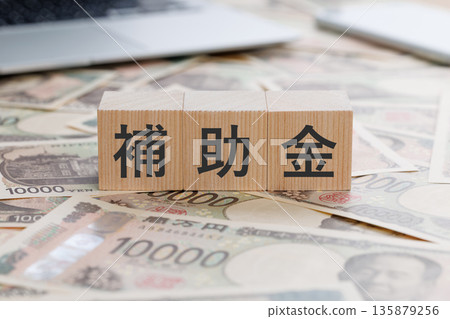 一塊寫著「補貼」字樣的磚塊，磚塊下面是錢。 135879256