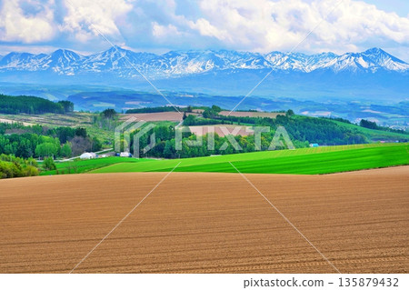 北海道的十勝山脈和上富良野的美麗山丘 135879432