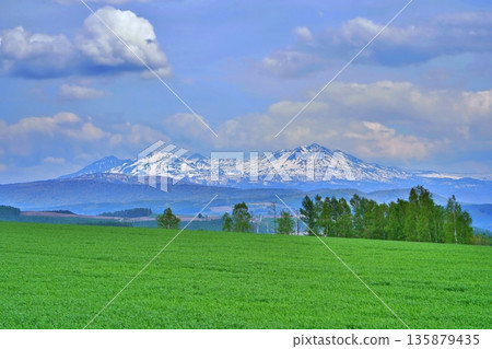 Masuzuyama mountain range of spring 135879435