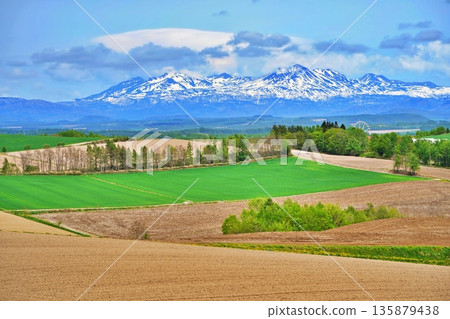春天，上富良野山丘和大雪山山脈的景色蔚為壯觀。 135879438