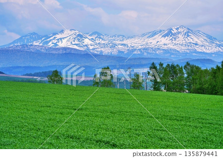 Masuzuyama mountain range of spring 135879441