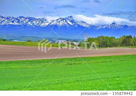 Hokkaido's Kamifurano countryside and the Tokachi mountain range 135879442