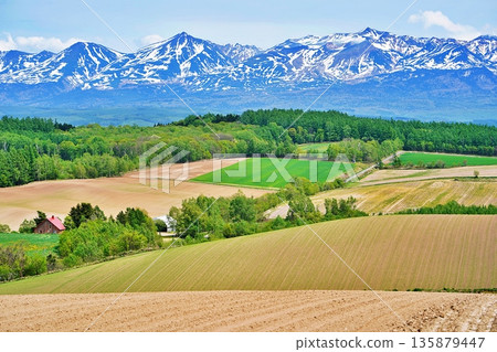 北海道上富良野的丘陵地區和十勝山脈 135879447