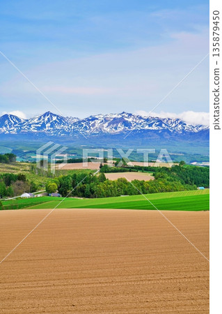北海道上富良野的丘陵地區和十勝山脈 135879450