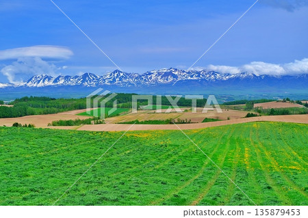 The hilly area of Kamifurano, Hokkaido, and the Tokachi mountain range The hilly area of Kamifurano, Hokkaido, and the Tokachi mountain range 135879453
