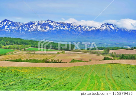 The hilly area of Kamifurano, Hokkaido, and the Tokachi mountain range 135879455