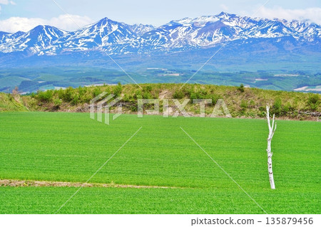 The hilly area of Kamifurano, Hokkaido, and the Tokachi mountain range 135879456