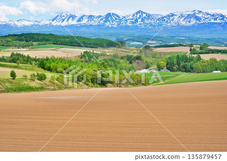 北海道上富良野的丘陵地區和十勝山脈 135879457