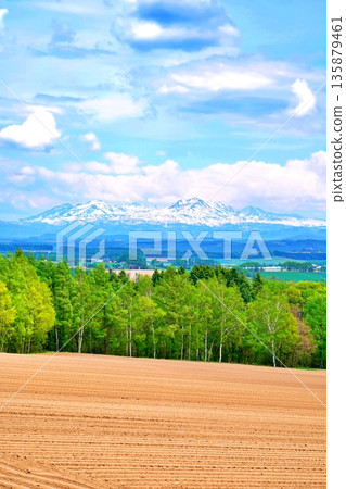 北海道上富良野的丘陵地區和大雪山山脈 135879461