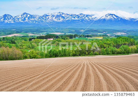 Kamifurano, Hokkaido: Spectacular countryside views Kamifurano, Hokkaido: Spectacular countryside views 135879463