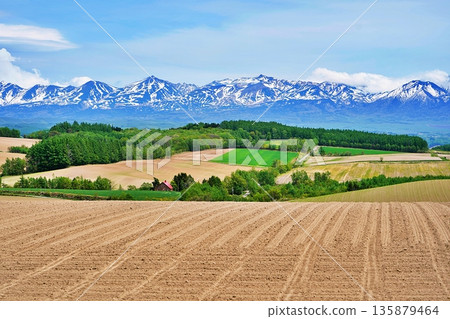 Spectacular views of the hills of Kamifurano and the Tokachi Mountains in Hokkaido Spectacular views of the hills of Kamifurano and the Tokachi Mountains in Hokkaido 135879464