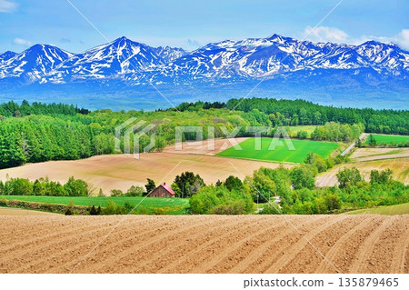 北海道上富良野山丘和十勝山脈的壯麗景色 135879465