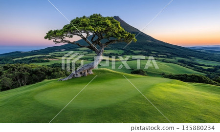 A solitary tree stands on a lush green golf course with a mountain in the background during sunset 135880234