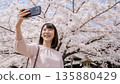 年輕女子在盛開的櫻花樹前自拍。 135880429