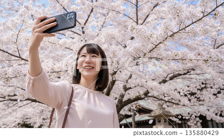 年輕女子在盛開的櫻花樹前自拍。 135880429