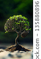 The conceptual brain tree: a human brain-shaped crown with green leaves grows from a thin trunk, symbolizing ecology, intelligence, growth, and the connection between the mind and nature. 135880896