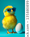 A funny yellow chicken with blue glasses stands next to a white egg on a turquoise background; the concept of Easter, spring, children's postcards, and studio photography.	 135880899