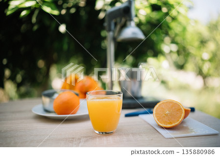 Fresh orange juice is made with a juicer and ripe oranges on a sunny day in a garden 135880986