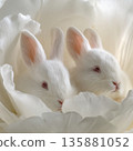 White rabbits rest together inside a large flower during a sunny afternoon 135881052