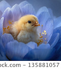 Chick resting on a flower petal in a garden setting during springtime 135881057