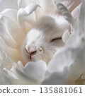 White rabbit resting in a flower during spring season in a garden setting 135881061