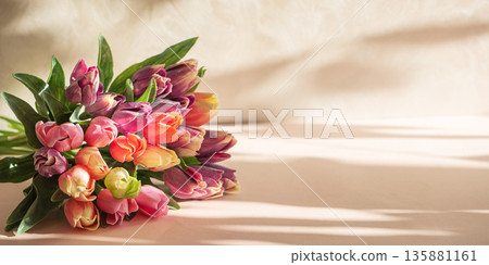 Tulip Bouquet ion Beige Background with Dramatic Shadows. Elegant Spring Still Life 135881161