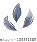 Three watercolor leaves feature a soft blend of blue gray tones on a clean white background. This hand-painted botanical illustration captures natural beauty and gentle elegance for design projects. 135881385