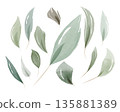Numerous distinct watercolor leaves appear in various sizes and gentle green and grey hues. 135881389