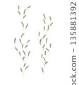Two watercolor illustrations show delicate green leaves on graceful stems. These botanical elements are painted with soft colors, offering a peaceful and natural accent on a white background. 135881392