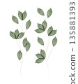 Two graceful watercolor branches with delicate green leaves appear on a plain white background. The leaves have a soft, translucent quality, suggesting gentle brushstrokes. 135881393