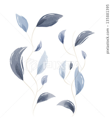 Hand-painted watercolor leaves in various blue and grey shades. Delicate stems gracefully curve on a bright white background. This forms a modern botanical pattern for decoration. 135881395