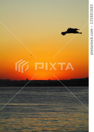 sunset in istanbul, metropolitan city and silhouette of the city sunset in istanbul, metropolitan city and silhouette of the city 135881683