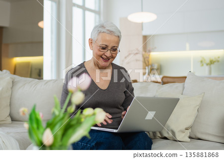 Confident stylish happy middle aged senior woman using laptop at home. Stylish older mature 60s grandmother sitting at couch looking at computer screen typing chatting reading writing email 135881868