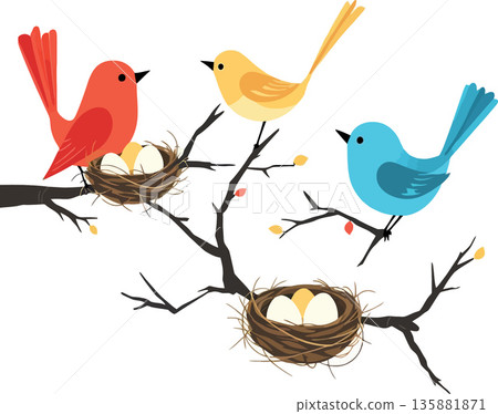 Vsai colorful birds sitting on tree branch with nests and eggs Vsai colorful birds sitting on tree branch with nests and eggs 135881871
