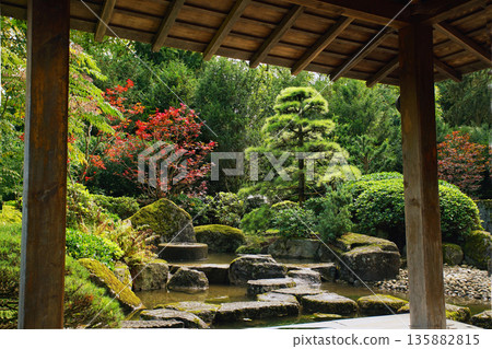 Japanese garden in Augsburg: pond and pavilion and cascade of waterfalls 135882815