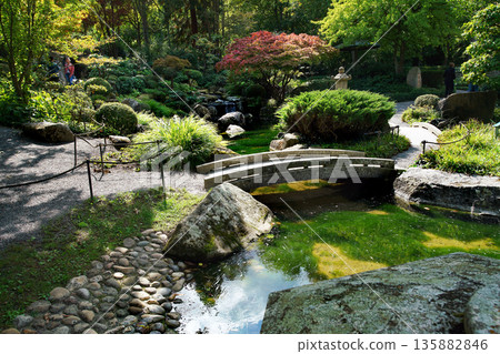 Awe early autumn view on waterfalls and rocks and Japanese maple 135882846