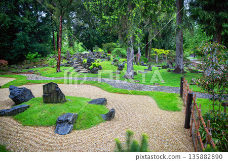 Japanese garden in Vienna with Japanese maple and topiary pine tree and rocks - beauty in nature 135882890