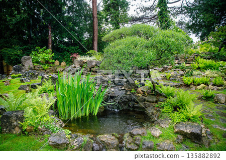 Japanese garden in Vienna with Japanese maple and topiary pine tree and pond and rocks and Greenhouse 135882892